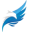 FlyMaster logo