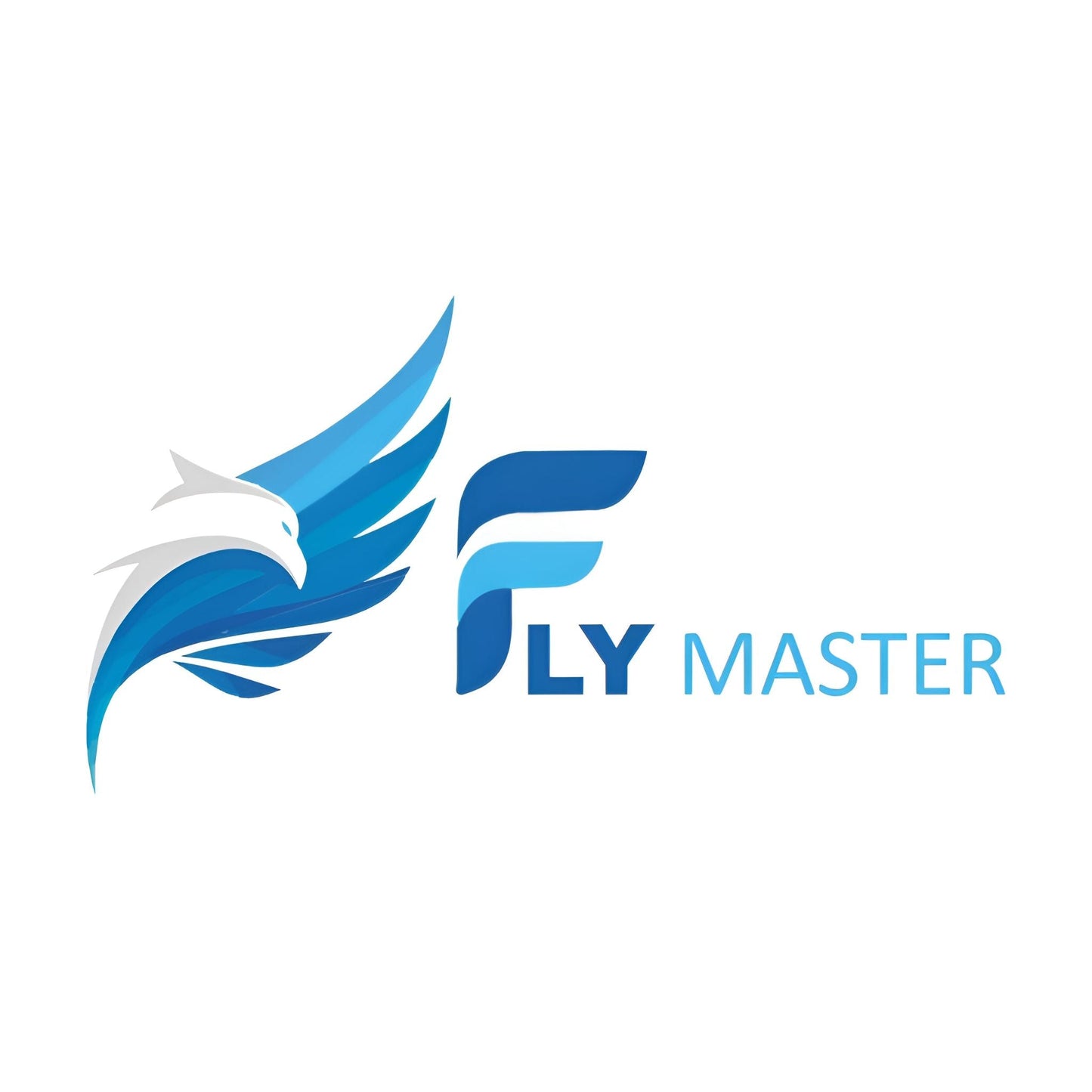 Hyundai Elantra | Automotive Accessories | Protects and Decorates Car Key - Flymaster Shop
